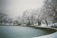 Central Park's Conservatory Water covered in snow