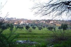 Landscape in the Monopoli countryside, Bari