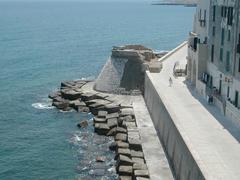 vista dal Castello Carlo V dal bastione di Santa Maria a Monopoli con grossi cannoni storici