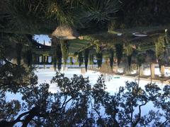 Italian Garden at Cummer Museum in Jacksonville, Florida