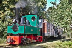 Decauville steam locomotive Dimitrias pulling a vintage train in Altenboitzen station, Germany