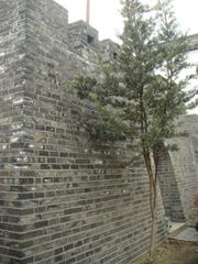 Dajing Ge wall in Hangzhou