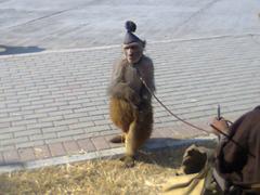 monkey dancing at Daman i Koh park