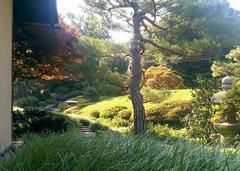 waterfall in Shofuso Tea Garden