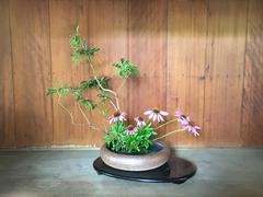 Classical Sōgetsu-ryū arrangement at Shōfusō in Philadelphia