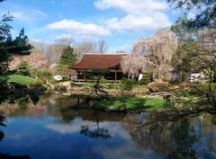 Shofuso Japanese House and Garden in Spring