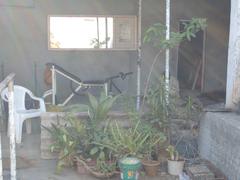 Local bodybuilding gymnasium inside Worli Fort in Mumbai