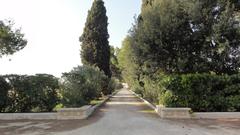 scenic Maggiulli Viale street view