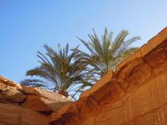 Palm trees in Karnak Temple, Luxor, Egypt