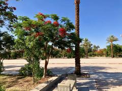 Entrance Plaza at Karnak Temple in Luxor