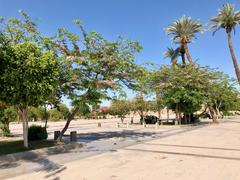 Entrance Plaza at Karnak Temple in Luxor