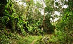 De Hel Nature Area in Cape Town