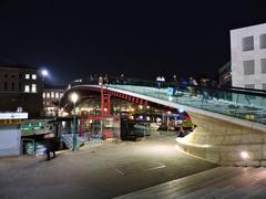 Ponte della Costituzione, Venice