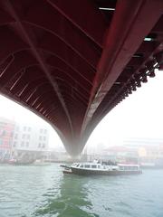 Ponte della Costituzione in Venice