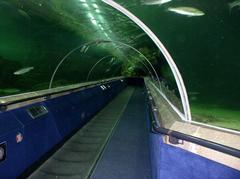 Deep Sea World moving walkway or normal path