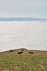 Monte Subasio above Assisi