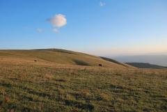 view of Monte Subasio with lush greenery and a picturesque sky