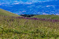 Monte Subasio protected area horizon view