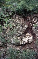 geological layering at Monte Subasio