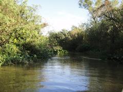 Stream feeding a lagoon