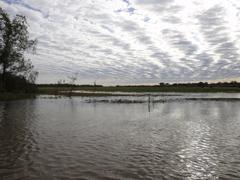 flood advancing in a rural area