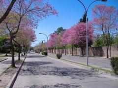 Avenida del Combate in San Lorenzo, Santa Fe, Argentina