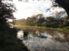 Sunrise in El Timbocito