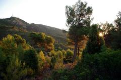 Special Area of Conservation in Spain