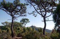 photograph of a Special Area of Conservation in Spain