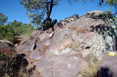 Desert De Les Palmes