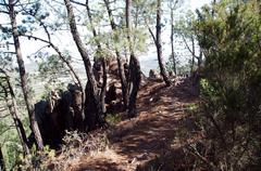 photograph of a Special Area of Conservation in Spain