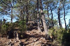 Special Area of Conservation in Spain