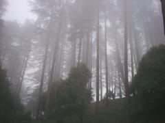 scenic view of Dhanaulti town with mountains