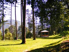 ECO PARK Dhanaulti