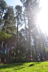 sun rays breaking through clouds over the trees in Dhanaulti