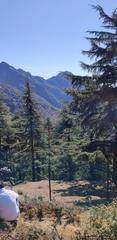 Scenic view of Dhanaulti in Uttarakhand, India