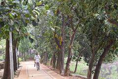 Dhanmondi Lake walkway