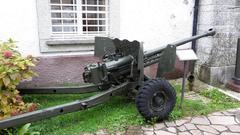 Cannone da 57/50 at Alpini Museum in Trento