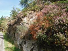 Wanderweg Lautenfelsen-Heilwiesen in Lautenbach, Gernsbach