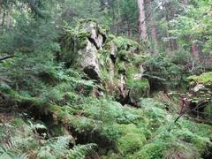 Steintal valley landscape above Lautenbach, Gernsbach