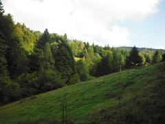 Steintal valley above Lautenbach, Gernsbach