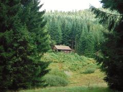 beautiful landscape in Steintal above Lautenbach, Gernsbach