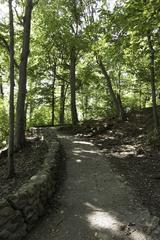 Pathway descending a hill at Dominion Arboretum