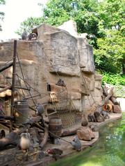 Kölner Zoo Affeninsel with Hamadryas baboons