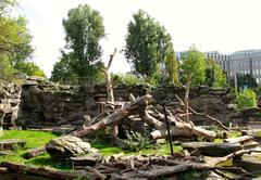 Malaienbären exhibit at Kölner Zoo