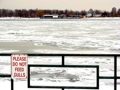 ice formations in the Detroit River creating a shipping channel