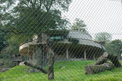 Dudley Zoo 1930s Architecture