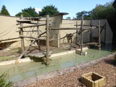 Dudley Zoological Gardens orangutan enclosure