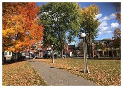 Dundonald Park in Centretown, Ottawa with view towards Somerset and Lyon St.