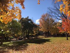 Dundonald Park in Ottawa with a view of Bay Street